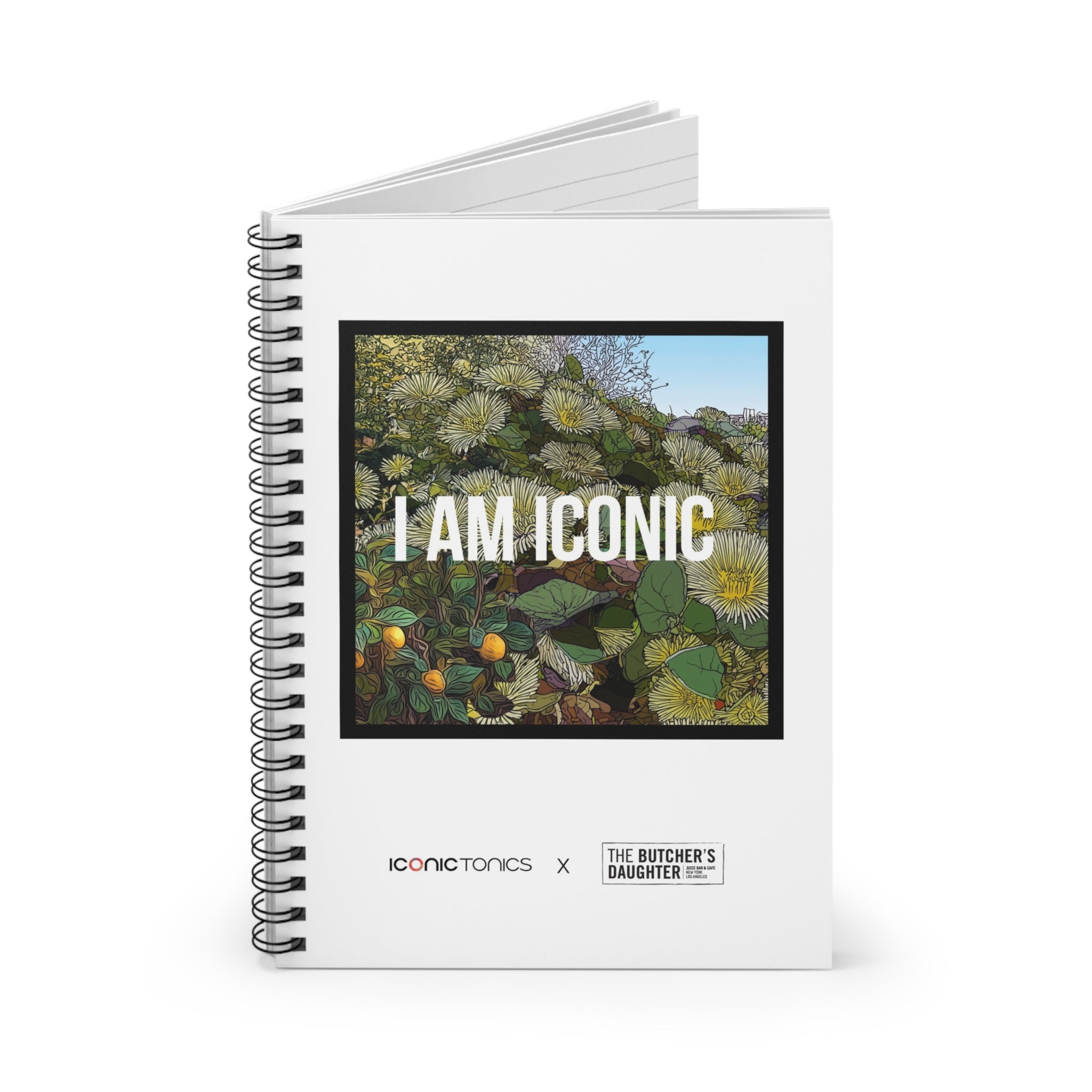 I AM ICONIC: The Butcher's Daughter Mural Collection - Iconic Journal